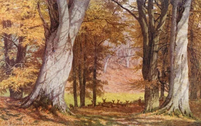 In Knole Park, nabij de Koningsbeuk