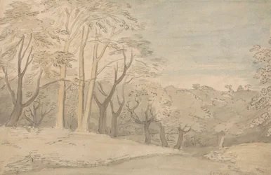 Een bosrijk landschap