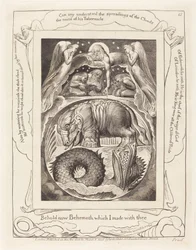 Behemoth en Leviathan