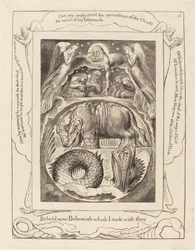 Behemoth en Leviathan