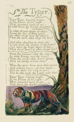 Gedicht getiteld "De tijger", geschreven door William Blake