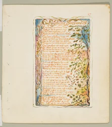Songs of Innocence and of Experience: On Anothers Sorrow