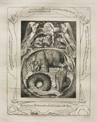 Het Boek Job: Pl. 15, Zie nu Behemoth die ik met jou heb gemaakt
