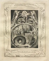Het Boek van Job: Pl. 15, Zie nu Behemoth die ik met jou maakte, 1825