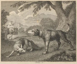 De hond en de vos