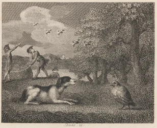 De Staande Hond en de Patrijs