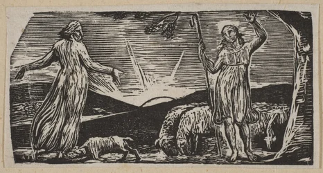 Thenot berispt Colinet, uit Thorntons Pastorals of Virgil, 1821