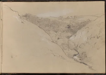 Landschap met heuvels en bos