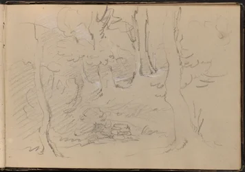 Schets van een groep bomen