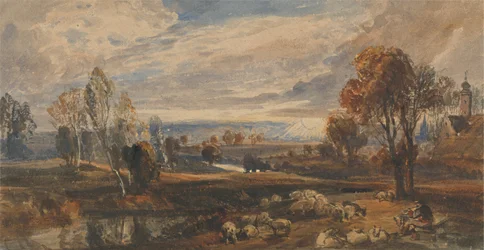 Landschap met schapen