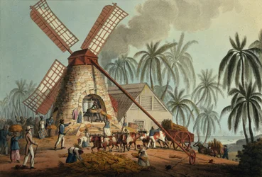 De breker perst sap uit het riet, Antigua