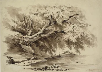 Landschap met bomen die over een meer hangen
