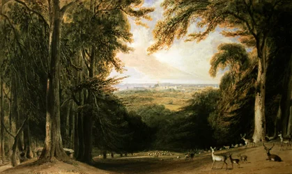 Bosrijk landschap, Windsor