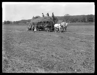 Boeren die hooi laden op een door paarden getrokken hooiwagen, McCready Farm, Crawford County, Pennsylvania