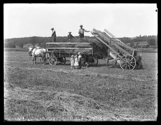 Landarbeiders laden hooi op een door paarden getrokken hooiwagen terwijl drie kinderen toekijken, McCready Farm, Crawford County, Pennsylvania, ca. 1913