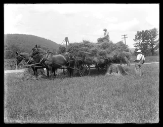 Twee mannen die tarweschoof op een door paarden getrokken kar laden, waarschijnlijk de McCready-boerderij, Crawford County, Pennsylvania
