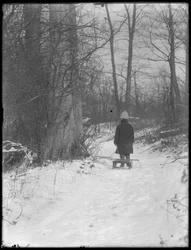 William Gray Hassler trekt zijn slee door besneeuwde bossen, c.1912
