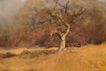 Winterbossen, ca. 1916, 1938