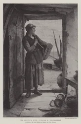 De Vrouw van de Schipper
