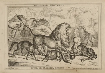 Koninklijke Dierentuin, gepubliceerd 15 december