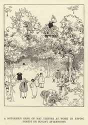 Een beruchte bende hoedendieven aan het werk in Epping Forest op zondagmiddagen