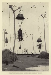 Vangen van de klerenmot in de Wildernis van Idaho