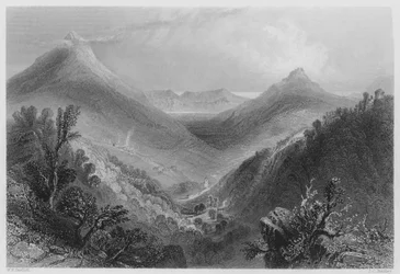 Glen of the Downs (gravure)