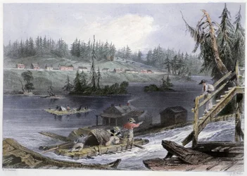 Transport van hout naar "les Chats" - in "Canadian scenery illustrated" door Bartlett W. H.