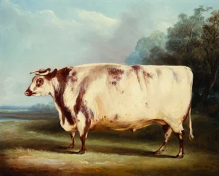 Een Prijsstier, 1839