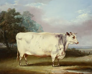 Een prijskoe, 1838
