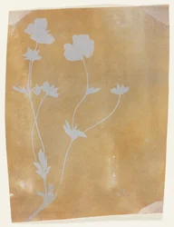 Stengel van bladeren en bloemen