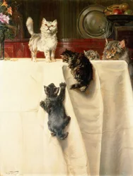 Katten