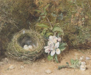 Vogelnest met takken van appelbloesems, c.1845-50