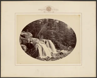 Brongebied van Gallatin County, Yellowstone National Park, Montana