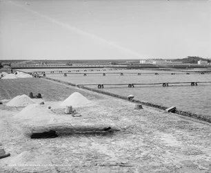 Zoutwerken en raffinagebassins, Mexico, ca. 1880-97