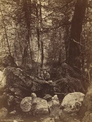 Het pad in West Gallatin Canyon, ca. 1870s