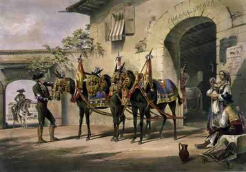 De muilezels van de Plaza de Toros