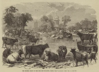 De gehoornde gastheer in het Bois de Boulogne, Parijs
