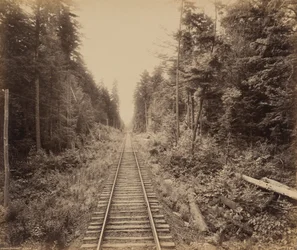 Hemlock Bos,c. 1895 (foto)