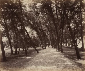 Picknickplaats,c. 1895 (foto)
