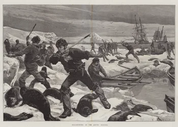Zeehondenjacht in de Arctische Gebieden
