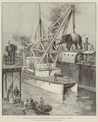 De Looshai Expeditie, olifanten aan boord van de Simla in Calcutta