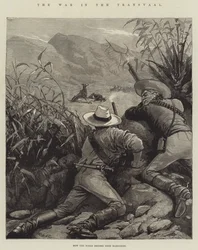 De oorlog in de Transvaal