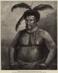 De Zoeloe-oorlog in Zuid-Afrika, Cetewayo, de Zoeloekoning