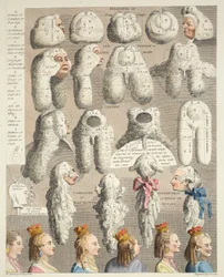 De vijf orden van pruiken, illustratie uit 