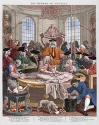 The Reward of Cruelty, een les in anatomie in 1750 door Hogarth (gravure)