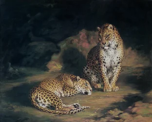 Een paar luipaarden, 1845