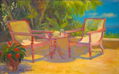 Caraïbisch terras