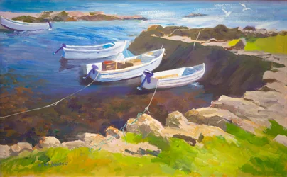 Rotsachtige haven