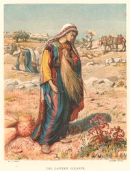 De Eastern Gleaner (ingekleurde gravure)